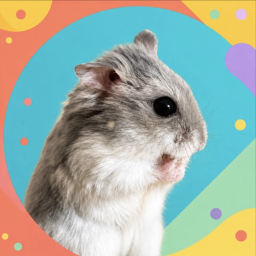 Potato the Hamster