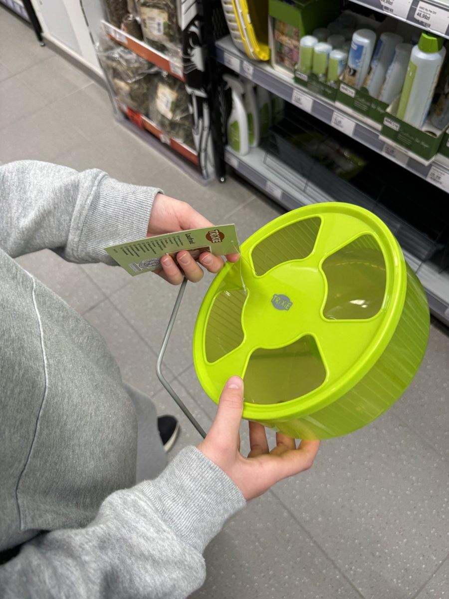 A child's hands checking a new solid hamster wheel in the pet shop