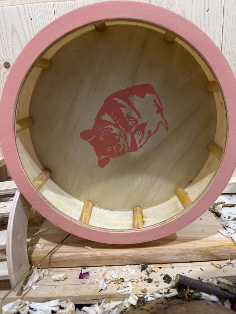 Potato's big pink wheel